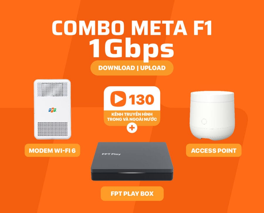 Combo Meta F1